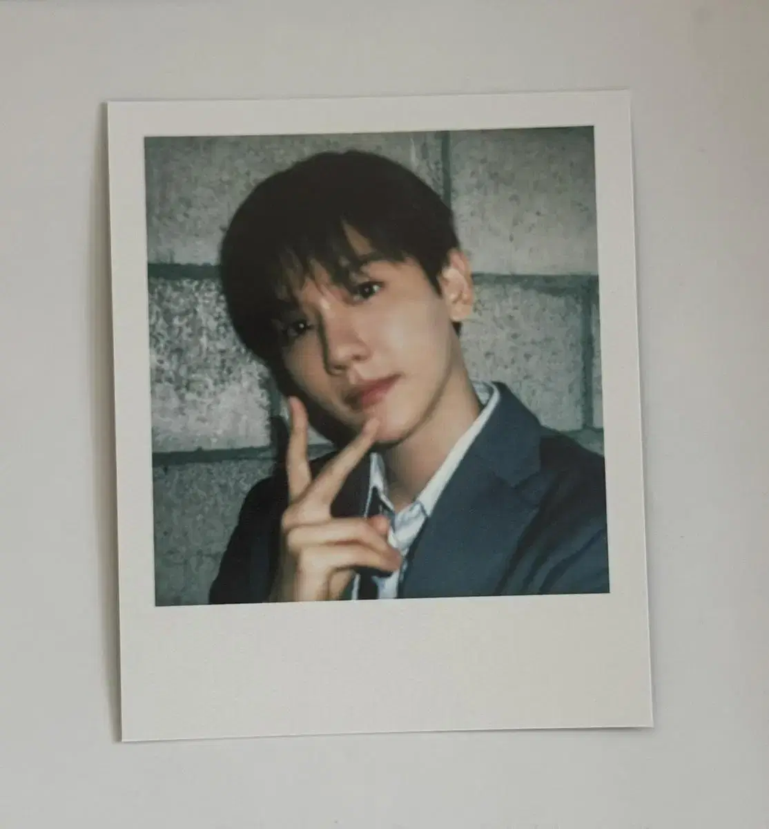 엑소시그 백현 exo season's greetings baekhyun